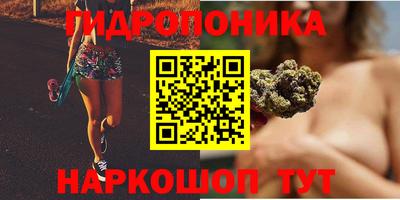 стаф Рыбинск