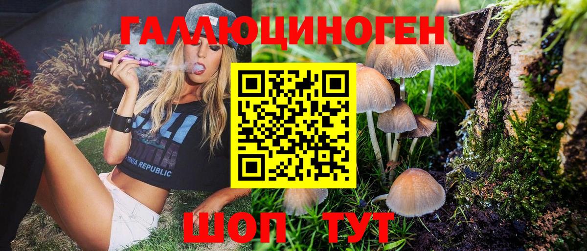Псилоцибиновые грибы Psilocybine cubensis Полевской