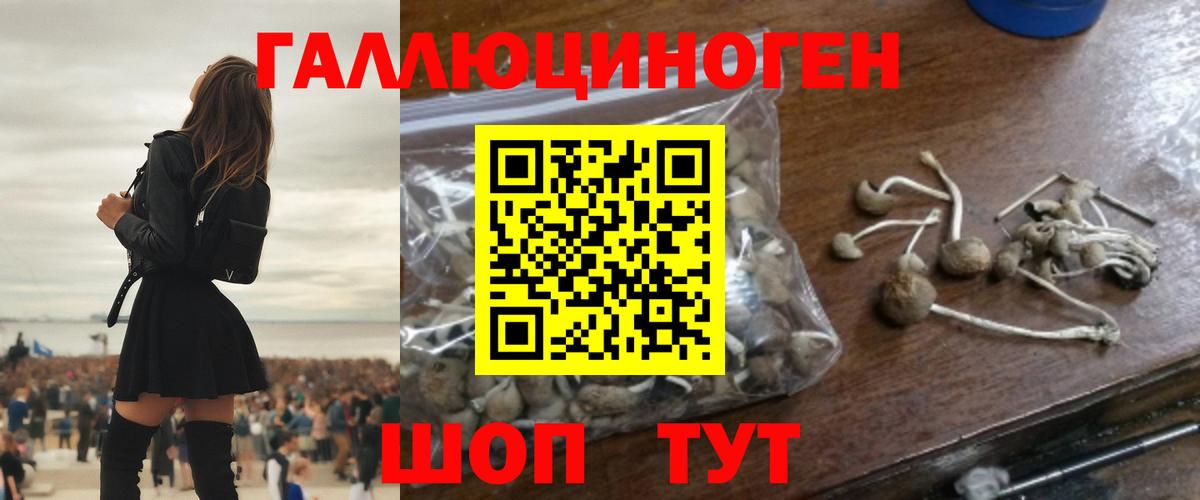 Полевской  Псилоцибиновые грибы Psilocybe  Псилоцибиновые грибы мицелий  Вход с VPN 